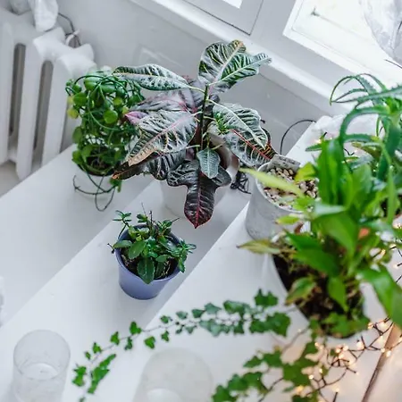 Apartment Mandala Majutus/homestay Haapsalu